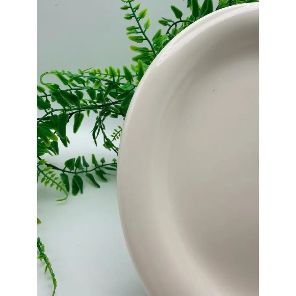 Williams Sonoma breakfast plate. No damage.
